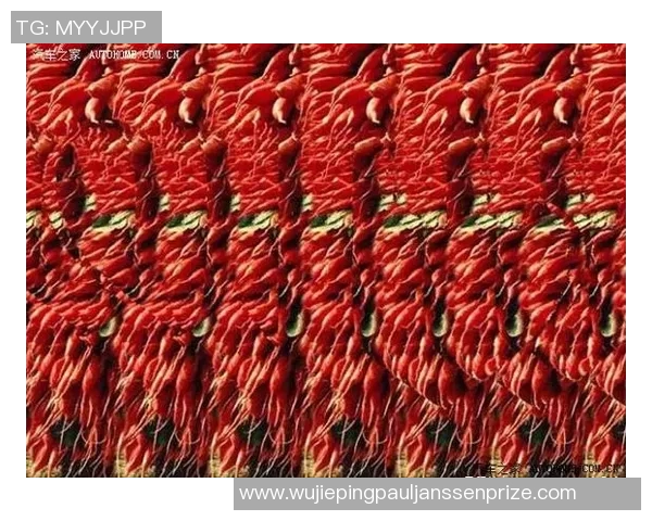 足球明星照片猜谜游戏挑战你的眼力和足球知识