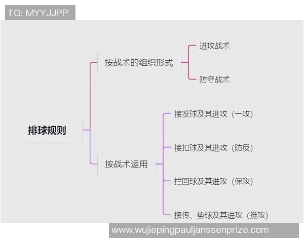 广州排球队整体压制打法深度解析与战术应用探讨 广州排球队整体压制打法深度解析与战术应用探讨