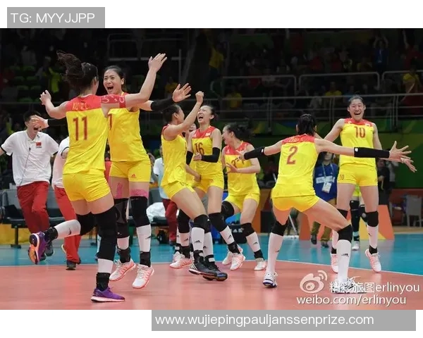 杭州排球队的奋斗历程：一段不屈不挠的排球精神之旅