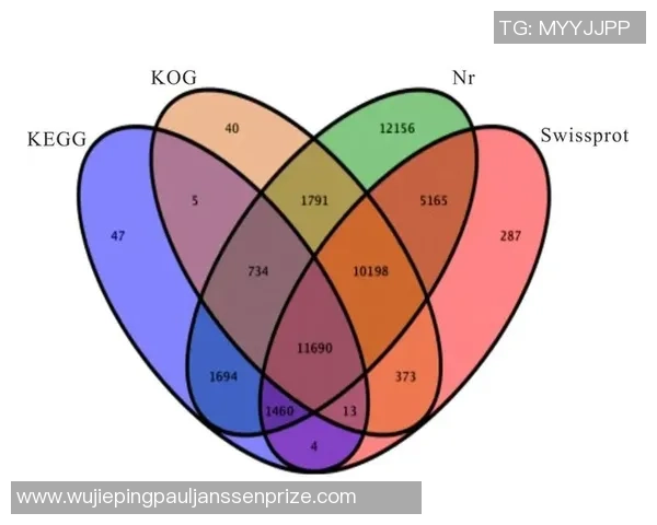 成都乒乓球队包夹战术的创新与发展探讨及其对比赛的影响分析